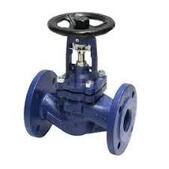 Globe Valves