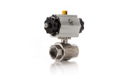 ACTUATOR VALVE ASSEMBLIES