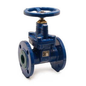 GATE VALVE 
